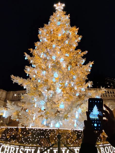 dior albero di natale|700 farfalle dorate sull'albero Dior a piazza di Spagna.